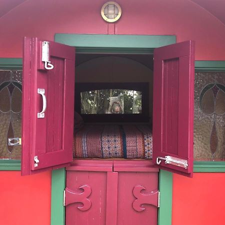 Greytown Campground Esterno foto