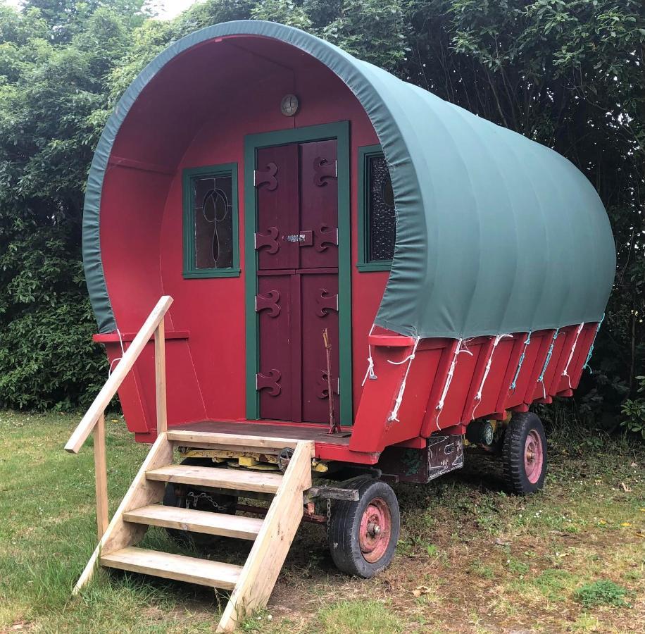 Greytown Campground Esterno foto